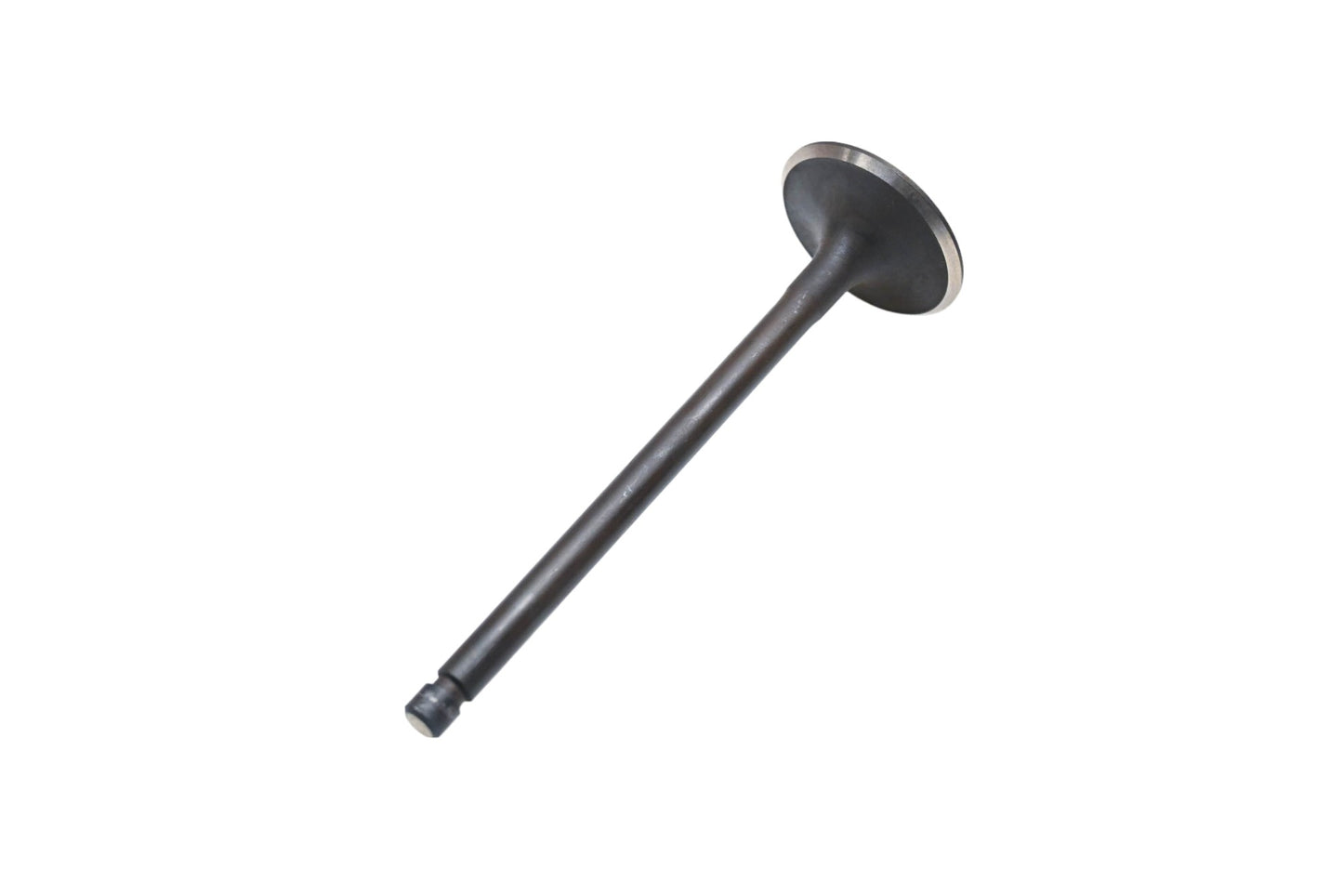 Beck Arnley 021-3181 Intake Valve NOS