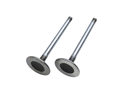 Beck Arnley 021-3151, 0213151, W 11082 Intake Valves Qty 2 NOS