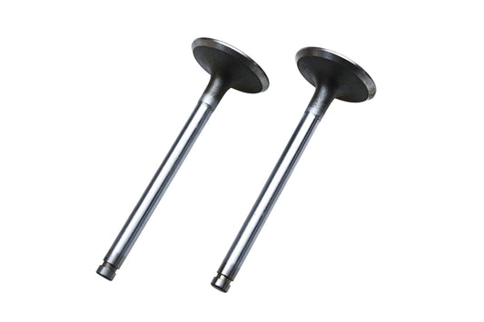 Beck Arnley 021-3151, 0213151, W 11082 Intake Valves Qty 2 NOS