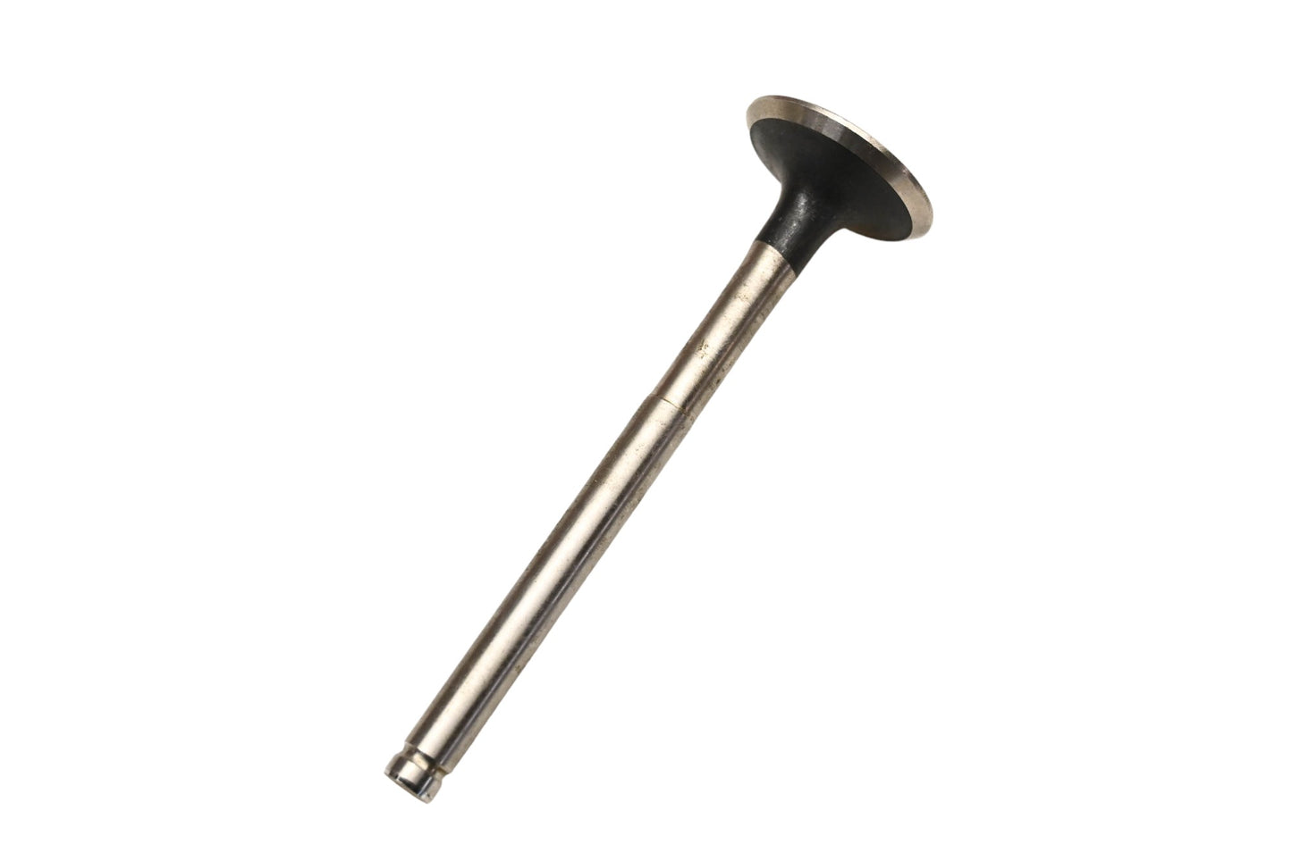 Beck/Arnley 021-3282, 0213282 Exhaust Valve NOS