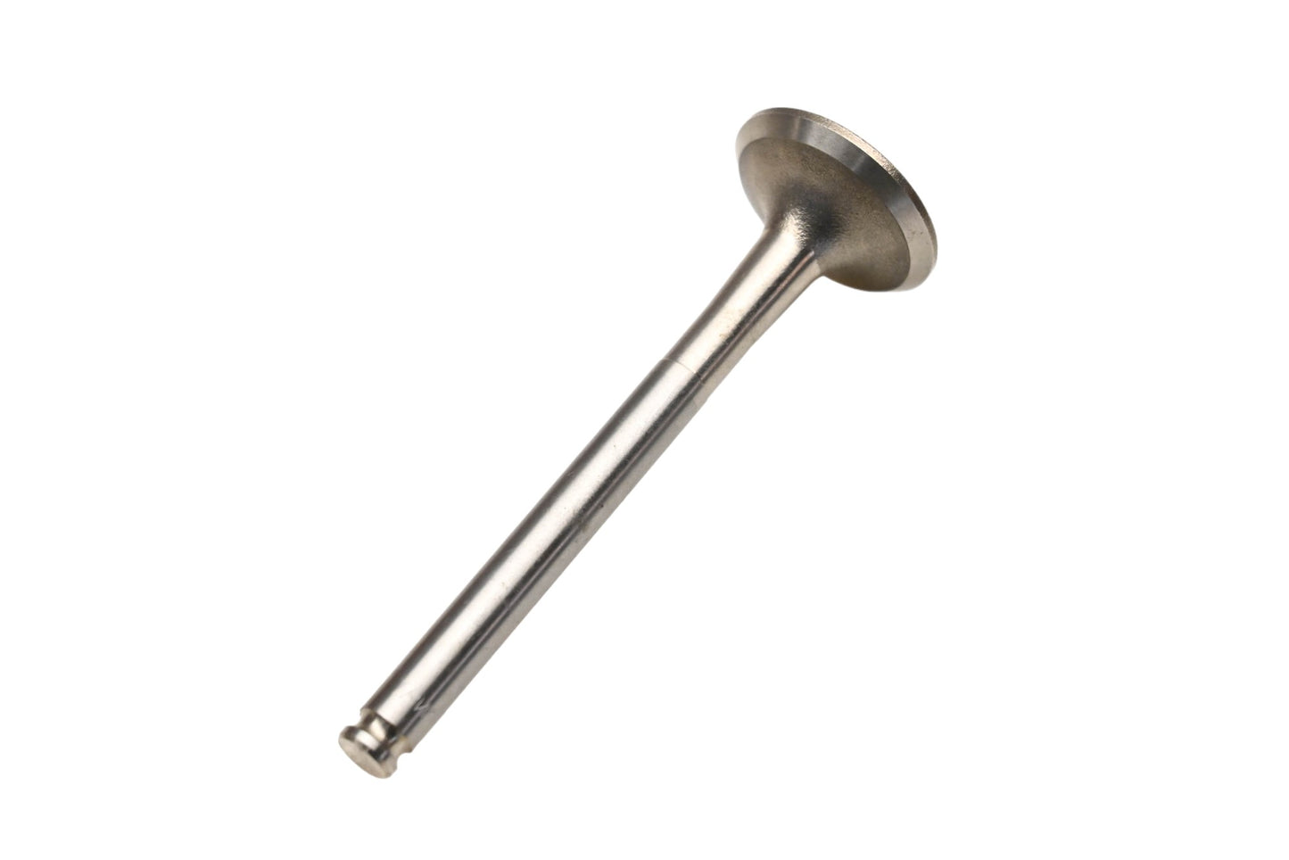 Beck/Arnley 021-3123 Exhaust Valve NOS