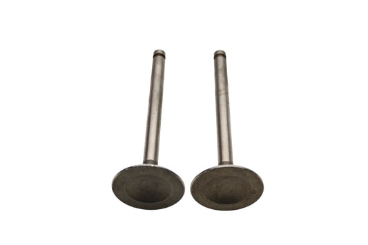 Shin Nippon 13201-H6200 Datsun Intake Valves Qty 2 NOS