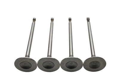 Dokuro 021-0617, 44-03496 Intake Valves Qty 4 NOS