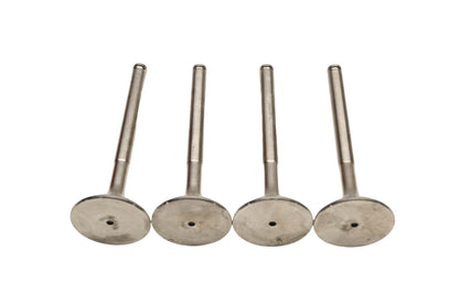 Vanguard 021-2357, 44-01856, 51.134.110 Vera Exhaust Valves Qty 4 NOS