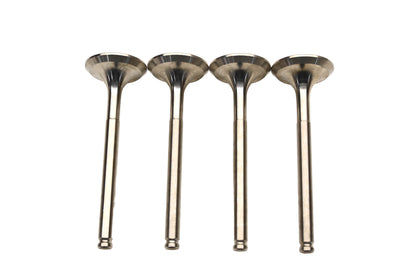 Vanguard 021-2357, 44-01856, 51.134.110 Vera Exhaust Valves Qty 4 NOS
