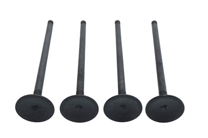 Dokuro Exhaust Valve Kit NOS