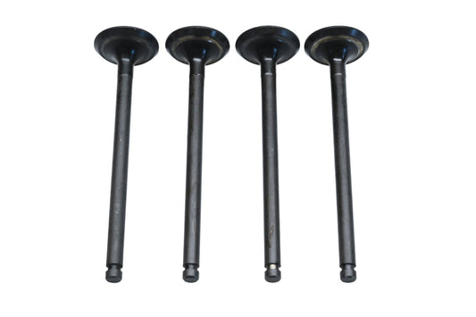 Dokuro Exhaust Valve Kit NOS