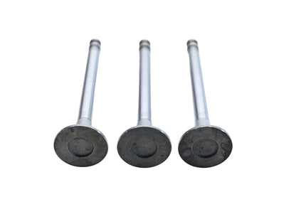 Rocky Exhaust Valves Qty 3 NOS