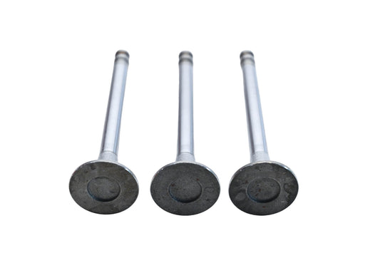 Rocky Exhaust Valves Qty 3 NOS