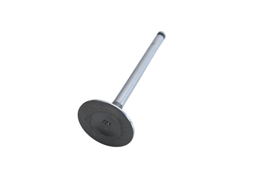 Vera Intake Valve NOS
