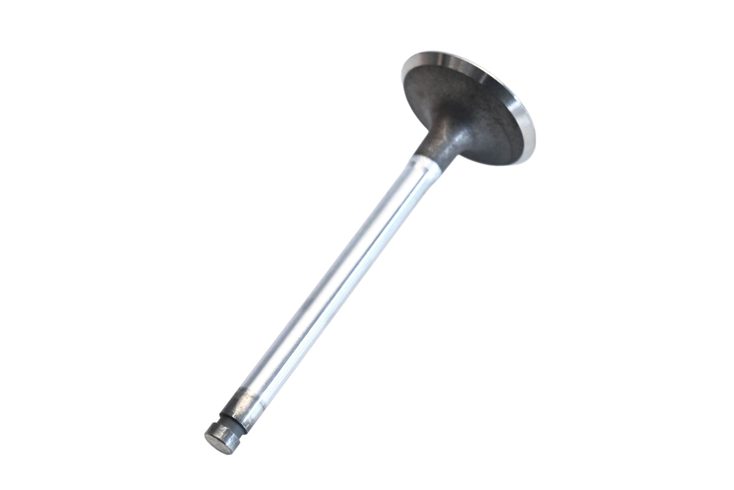 Vera Intake Valve NOS