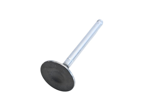Vera Intake Valve NOS