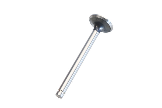 Aftermarket Exhaust Valve NOS