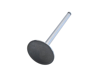 Vera Intake Valve NOS