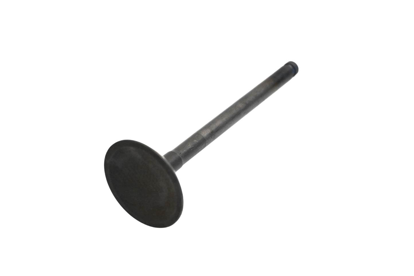 Beck/Arnley 021-3288 Intake Valve NOS