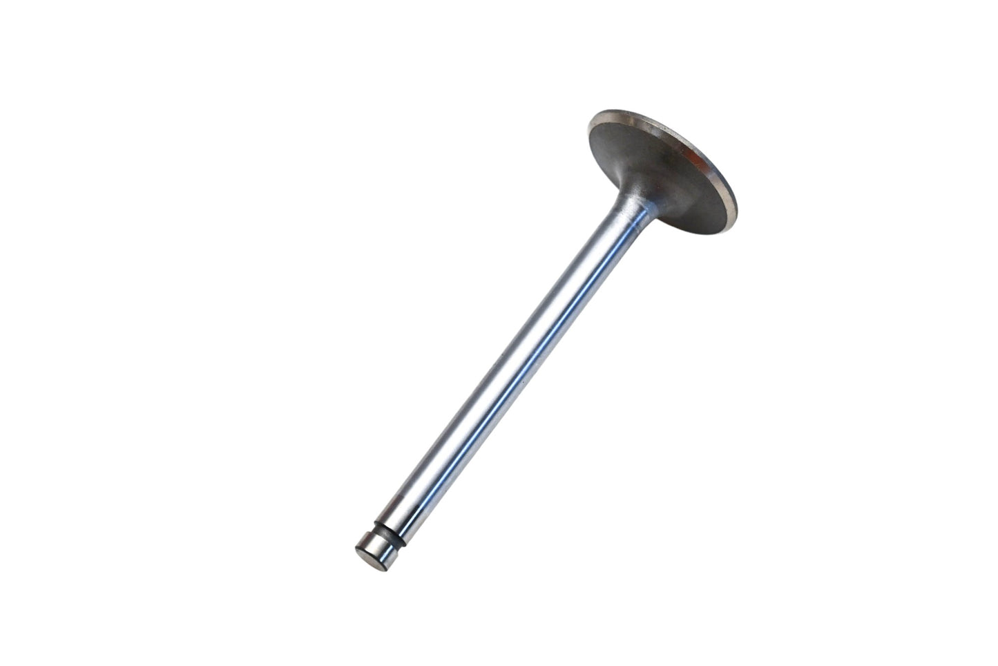 Vera 44-03975 Exhaust Valve NOS