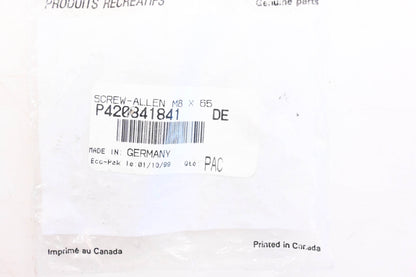 Aftermarket 420841841 Socket Head Screws Qty 4 NOS