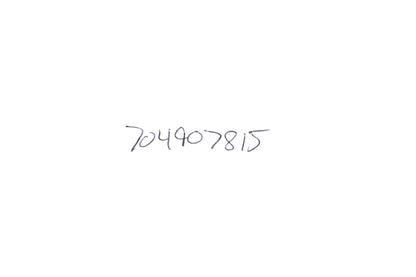 Aftermarket 704907815 Upper Left Door Decal NOS