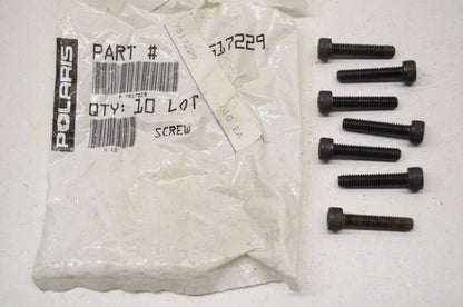 Screws Genesis Hurricane SL Qty 7 NOS