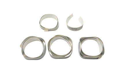 New OEM Ford F4TZ-1520001-CH Stripe Decal Kit NOS