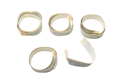 New OEM Ford F4TZ-1520000-CF Stripe Decal Kit NOS