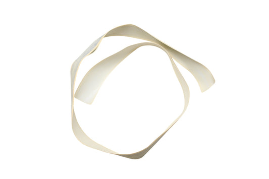 New OEM Ford E8TZ-1829006-BB Stripe Decal Kit NOS