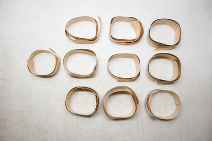 New OEM Ford E3FZ-5820000-AC Stripe Decal Kit NOS