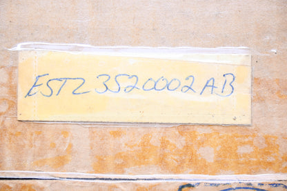 New OEM Ford E5TZ-3520002-AB Stripe Decal Kit NOS