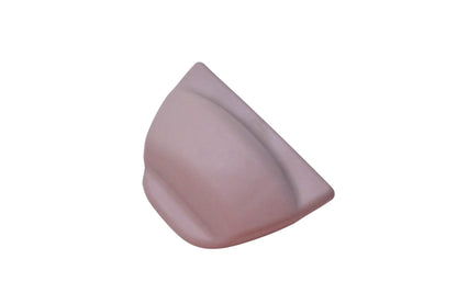 New OEM Ford 2L1Z-78666C00-PAA Cover NOS