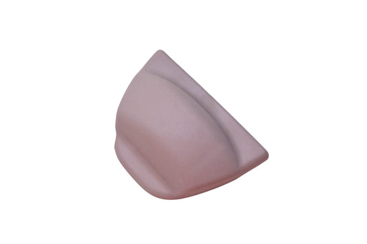 New OEM Ford 2L1Z-78666C00-PAA Cover NOS