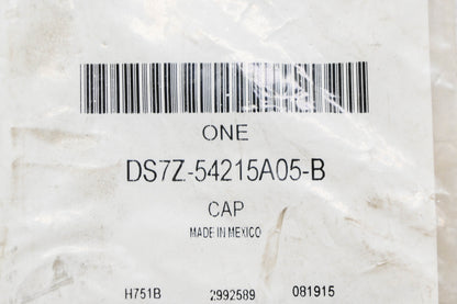 New OEM Ford DS7Z-54215A05-B Glass Retainer NOS