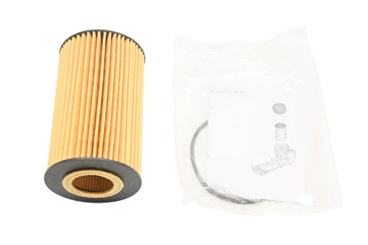 New OEM Motorcraft FL-2029, 6E7Z-6731-D Oil Filter Kit NOS