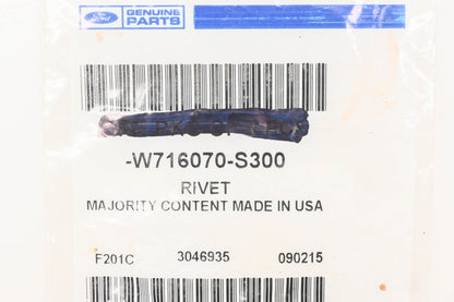 New OEM Ford W716070-S300 Rivets Qty 2 NOS