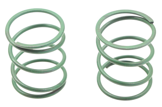 New OEM Ford E6DZ-7G266-A Accumulator Springs Qty 2 NOS