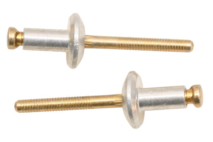 New OEM Ford W525173-S Rivets Qty 2 NOS