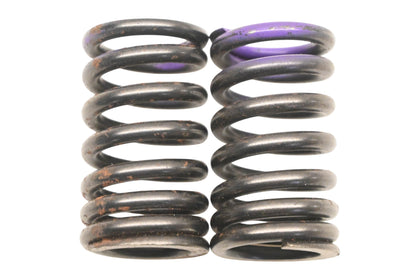 New OEM Ford F0CZ-6513-A Purple Engine Valve Springs Qty 2 NOS