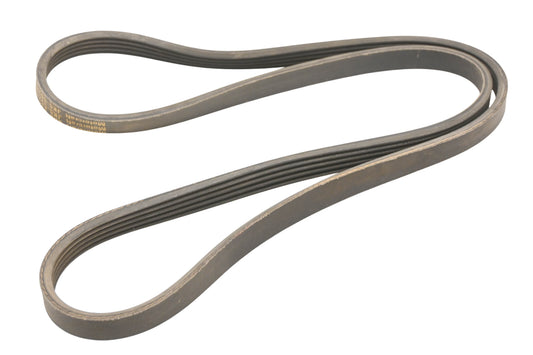 New OEM Motorcraft JK5-552, E1SZ-8620-A, JK5552 Serpentine Belt NOS