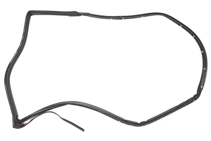 New OEM Ford CE8Z-58253A11-A Left Door Weatherstrip NOS