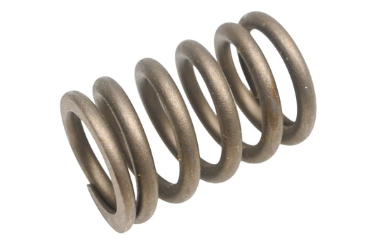 New OEM Ford D00Z-6513-B Engine Valve Spring NOS