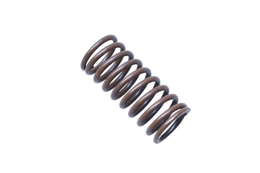 New OEM Ford D1AZ-7D028-A Spring NOS