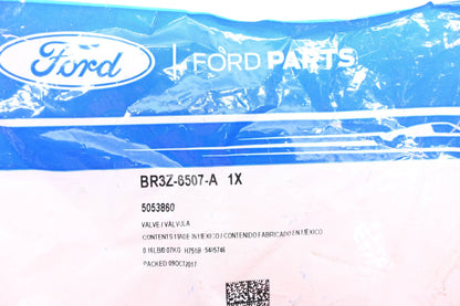 New OEM Ford BR3Z-6507-A, 5053860 Intake Valve NOS