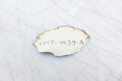 New OEM Ford COTT-4437-A Bushing NOS