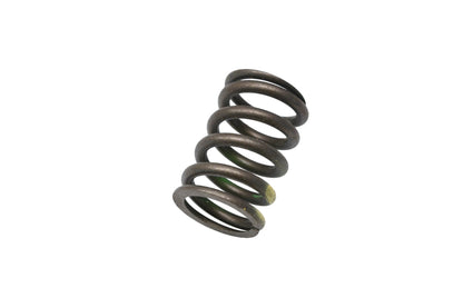 Ford E6FZ-6513-B Valve Spring NOS