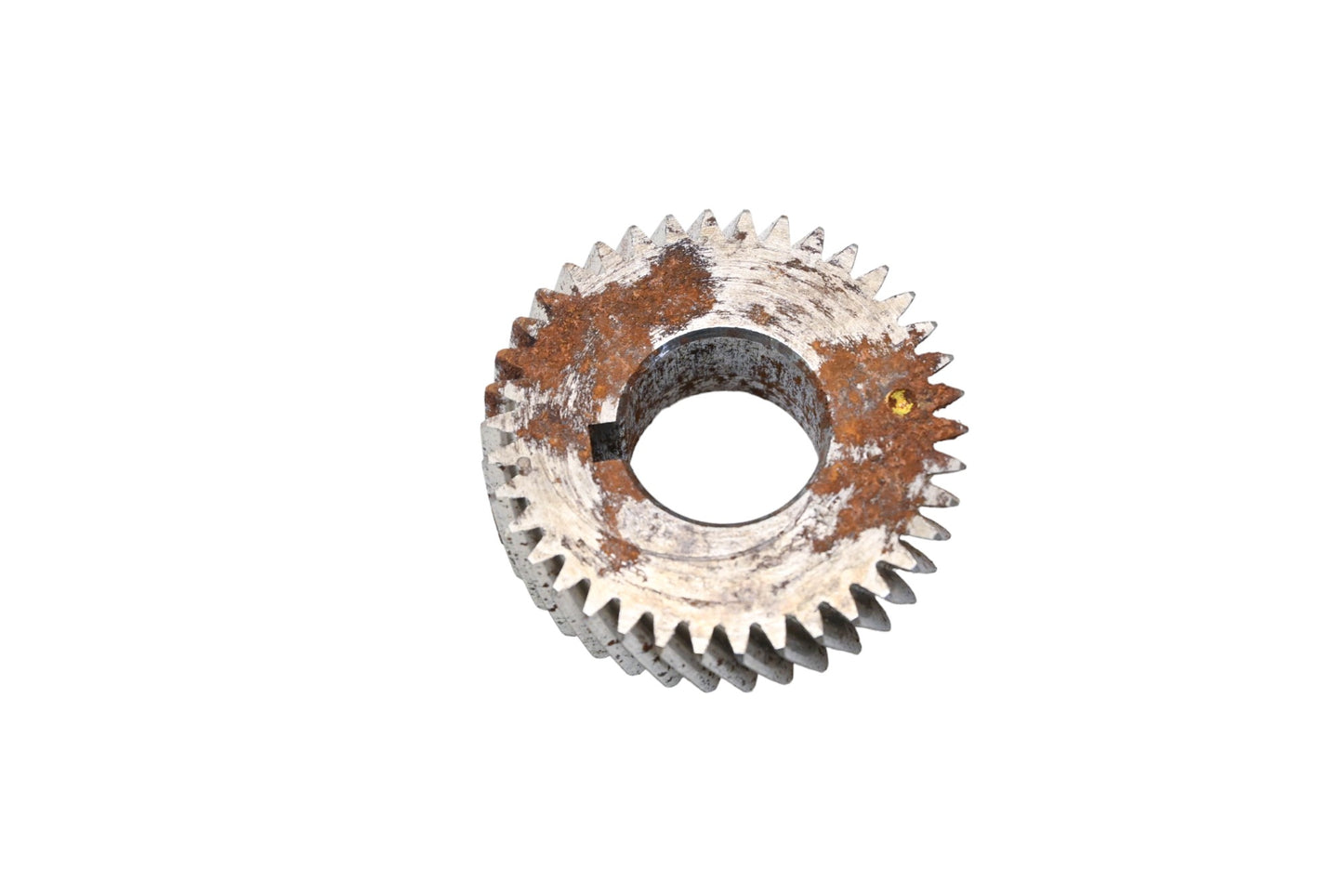 New OEM Ford F4DZ-6A304-A Engine Balance Shaft Timing Gear Sprocket NOS
