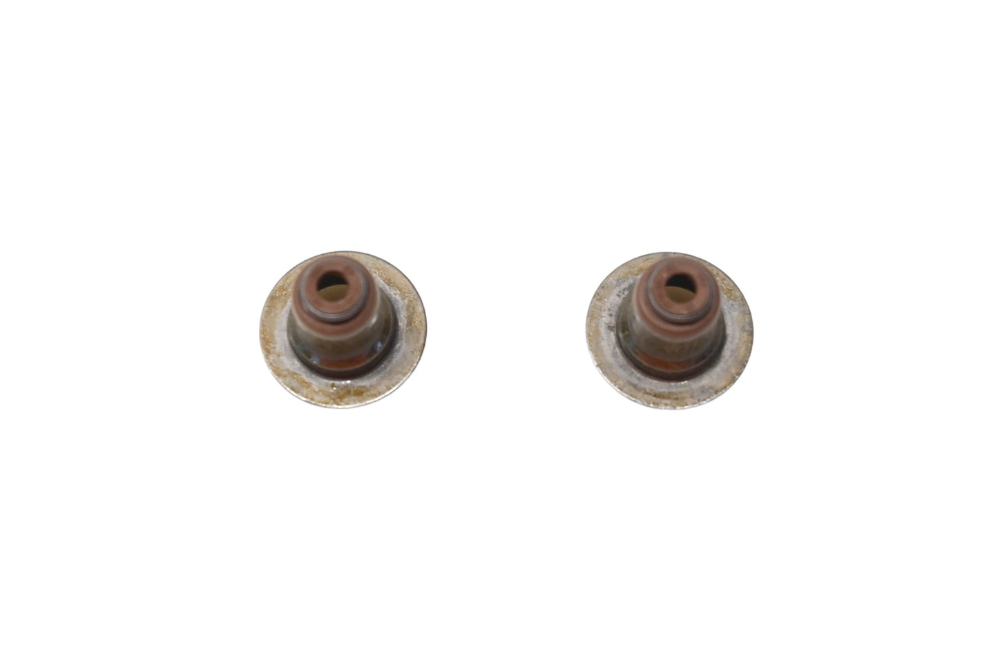 New OEM Ford XW4Z-6571-AA Engine Valve Stem Seals Qty 2 NOS