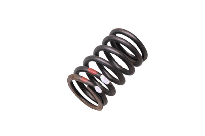 New OEM Ford FOTZ-6513-A Engine Valve Spring NOS