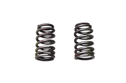 Ford F5RZ-6513-A Intake Springs Qty 2 NOS