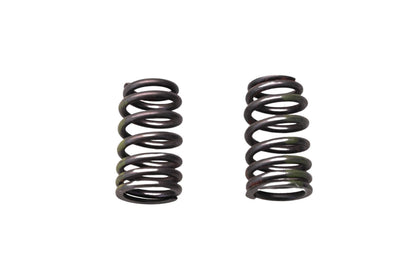 New OEM Ford F5RZ-6513-A Intake Springs Qty 2 NOS