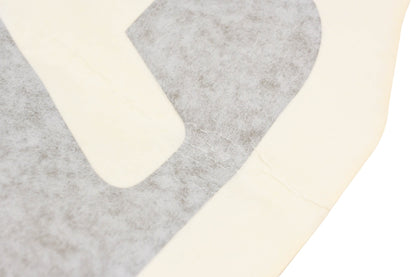 Aftermarket 704907077 Can-Am Right Front Door Decal NOS