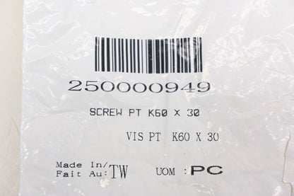 Aftermarket 250000949 Screw K650 x 30 NOS